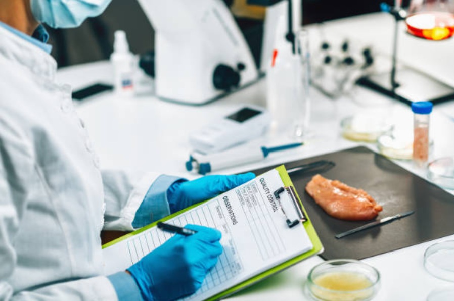 food safety inspections